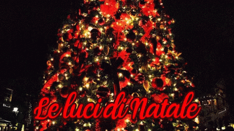 Luci Di Natale Albero Natale Colori GIF - Christmas Lights Christmas Tree Christmas GIFs