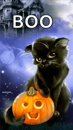 a black cat is sitting on top of a carved pumpkin with the word boo written above it