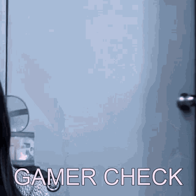 a person is standing in front of a door with the words gamer check written on the bottom
