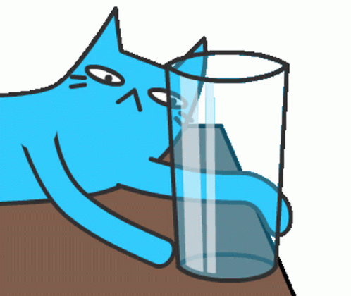 Cat Crazy Blue Cat GIF - Cat Crazy Blue Cat Push GIFs