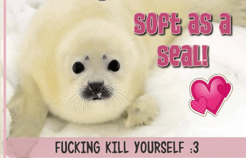 a picture of a seal with the words soft as a seal fucking kill yourself