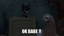 a cat is sitting on top of a wooden box next to a pigeon and says `` ok babe '' .