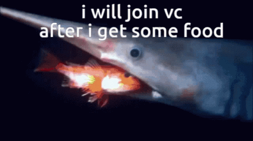 Vc Fish Vc GIF - Vc Fish Vc Voice Call GIFs
