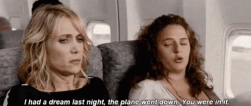 I Had A Dream Last Night, The Plane Went Down. You Were In It. GIF - Bridesmaids Plane Crash GIFs