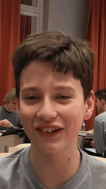 a young boy with brown hair and a grey shirt smiles for the camera