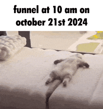 a cat is laying on a bed with the words funnel at 10 am on october 21st 2024 on the bottom