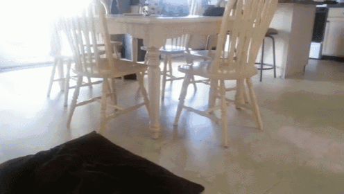 New Perspective GIF - Cats Play Table GIFs