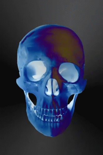 Cristinaburns Skull GIF - Cristinaburns Skull Dark GIFs