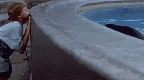 Free Willy GIF - Free Willy Orca Kid GIFs