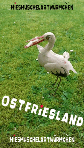 a stork with a piece of paper in its beak is on the cover of a book called ostfriesland