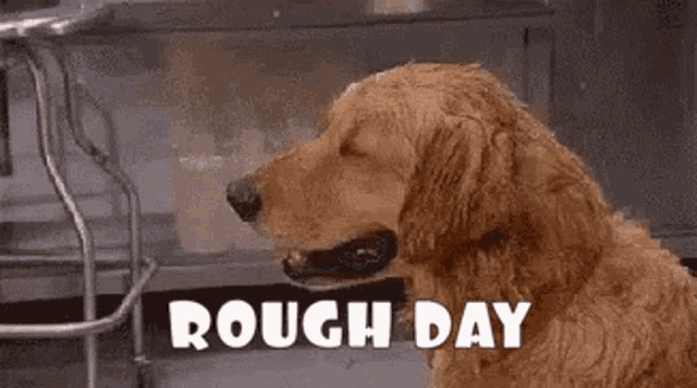 Rough Day GIF - Rough Day Rough Day GIFs