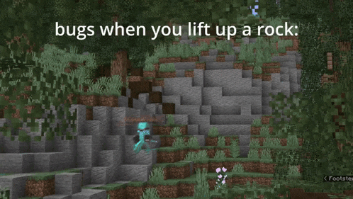 a screenshot of a video game with a caption that says bugs when you lift up a rock