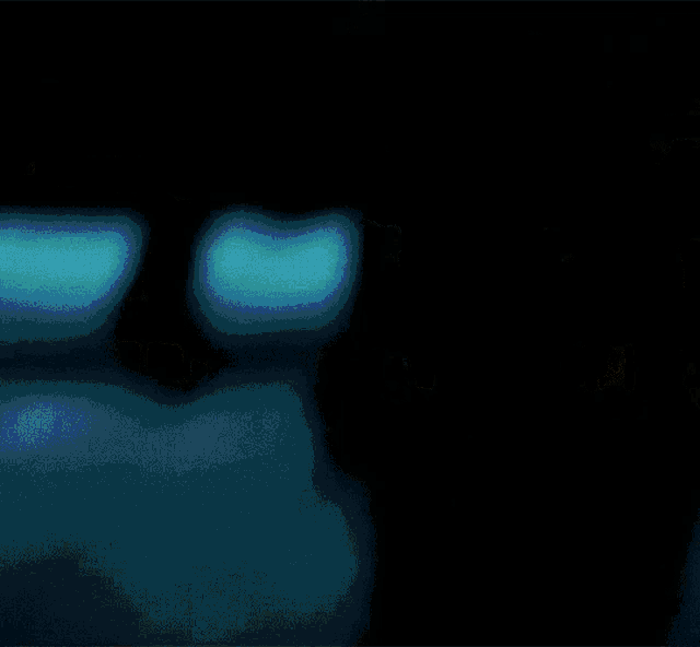 a blurry picture of a woman in a dark room with lights behind her