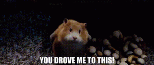 G Force Bucky GIF - G Force Bucky You Drove Me To This GIFs