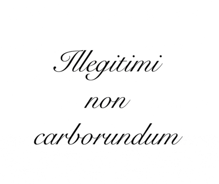 a white background with the words " illegitimi non carborundum " written on it