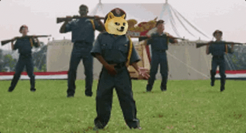 Sofakingdoge Dance GIF - Sofakingdoge Dance Doge GIFs