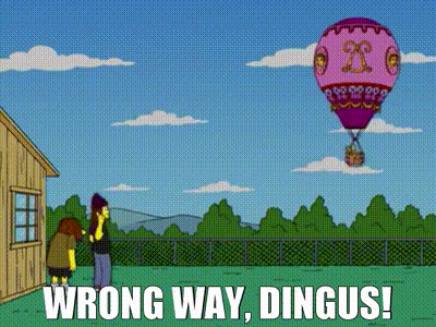 Wrong Way Dingus GIF - Wrong Way Dingus Hot Air Balloon GIFs