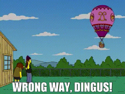 a cartoon of a hot air balloon with the words wrong way dingus written below it