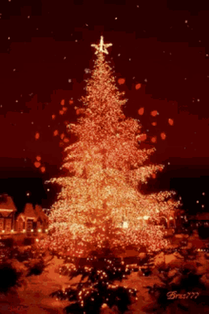 a large christmas tree with a star on top of it