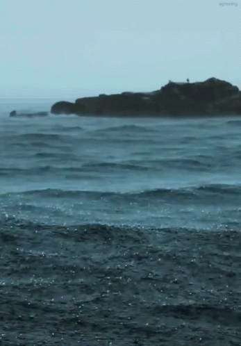 Sea Is GIF - Sea Is The GIFs