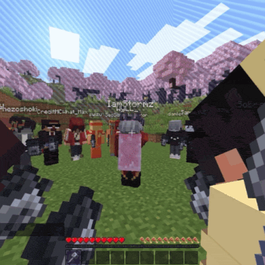 a group of people are playing a game called minecraft and one of them is named iamstormz