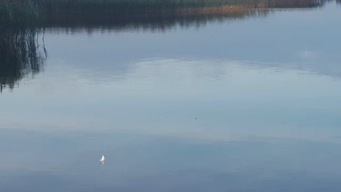 Good Morning Sweetheart GIF - Good Morning Sweetheart GIFs