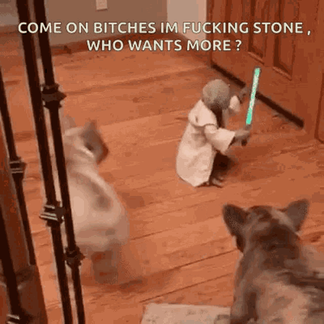 a dog is playing with a stuffed animal dressed as yoda holding a light saber .