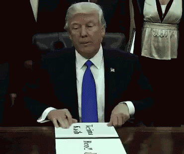 Terima Kasih Bro GIF - Donald Trump Trump Terima Kasih GIFs