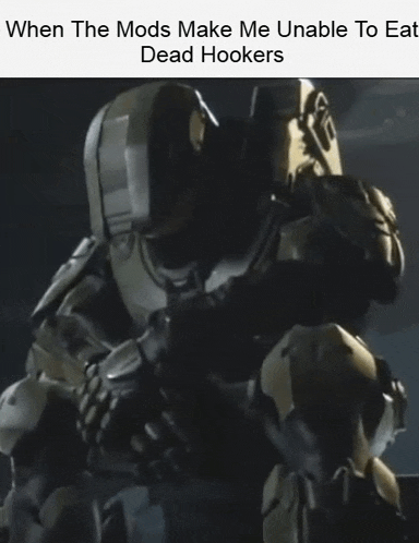 a picture of a soldier with a caption that says when the mods make me unable to eat dead hookers