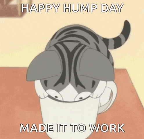 a cat is sitting in a cup of coffee on a table with the words `` happy hump day made it to work '' .