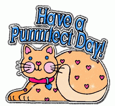Cat Have A Perfect Day GIF - Cat Have A Perfect Day GIFs