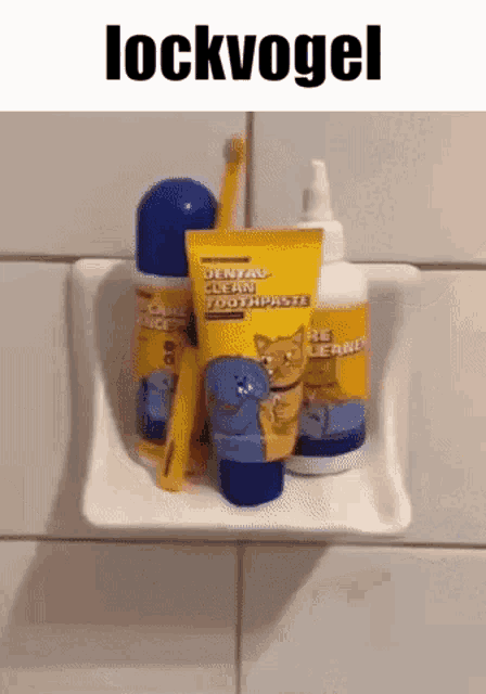 a tube of dental clean toothpaste sits on a shelf