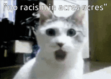 a white cat with a surprised look on its face and the words " no racism in acres acres "