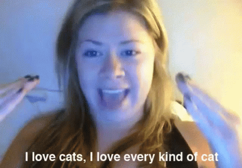 Eharmony Cat Lady I Love Cats GIF - Eharmony Cat Lady I Love Cats I Love Every Kind Of Cat GIFs