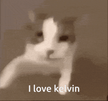 I Love Kelvin GIF