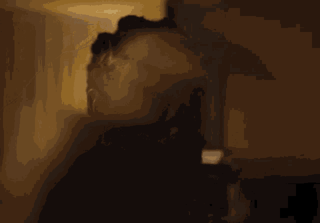 a close up of a person 's head and neck