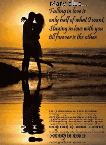 a silhouette of a man and woman kissing on a beach