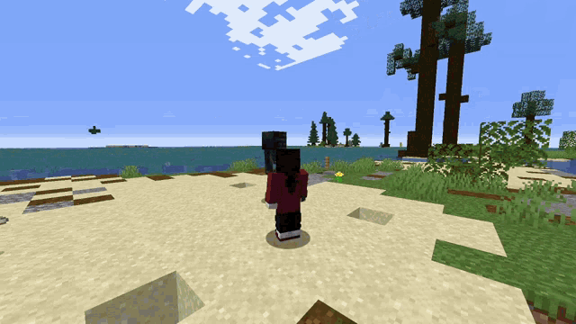 a person standing on a sandy beach in a minecraft game