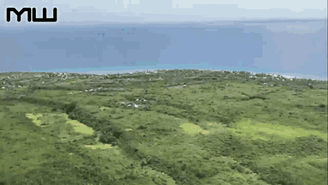 an aerial view of a lush green field with the words mw on the bottom right
