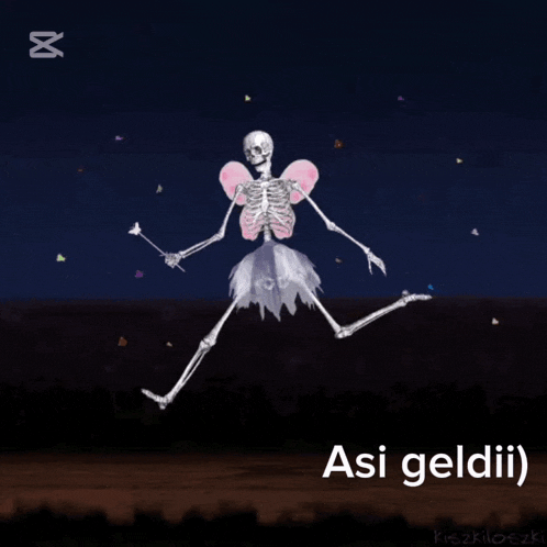 a picture of a skeleton dressed as a fairy holding a wand