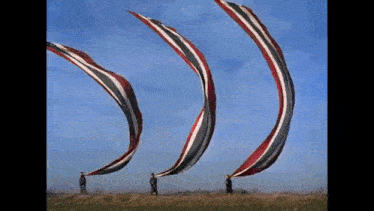 a group of people are walking in a field with flags flying in the wind .