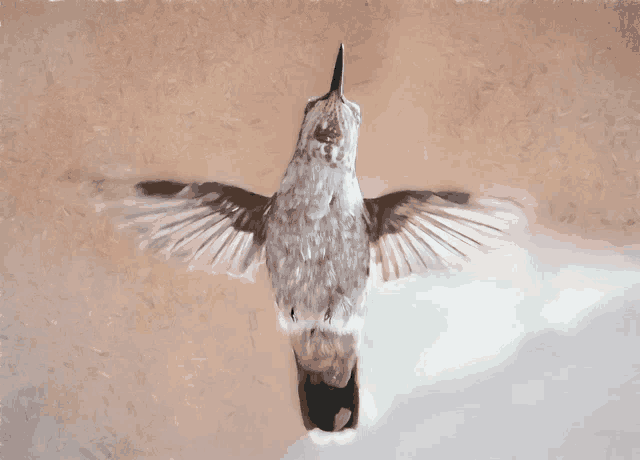 a painting of a hummingbird with wings spread
