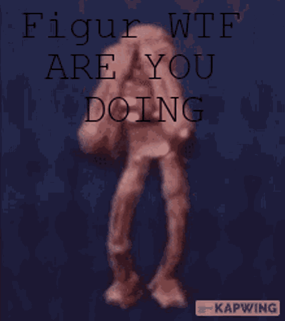 a poster that says figur wtf are you doing with a picture of a person
