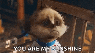 a meerkat is sitting in a wooden chair and saying `` you are my sunshine '' .