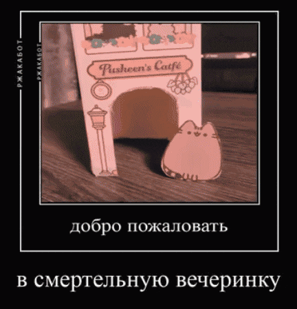 a picture of pusheen 's cat cafe with a foreign language caption