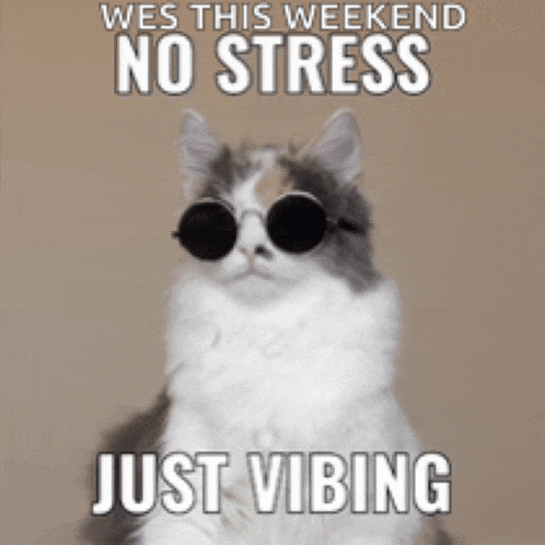 a cat wearing sunglasses with the words wes this weekend no stress just vibing
