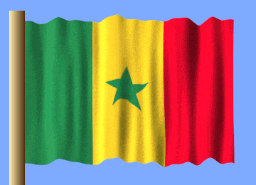 a green yellow and red flag with a star in the middle