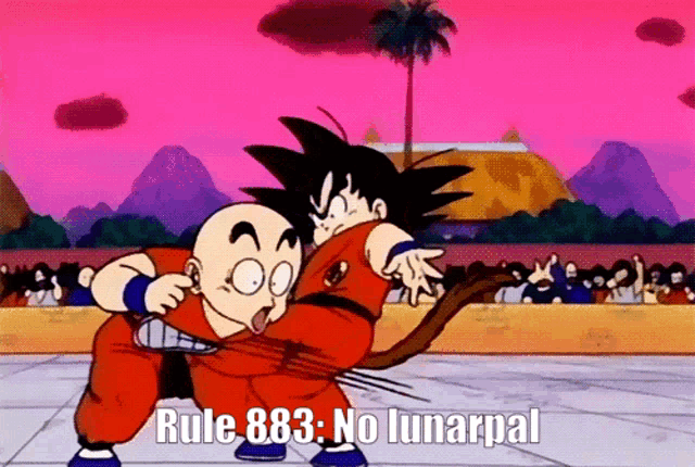 a cartoon of goku and krilin with rule 883 no lunarpal