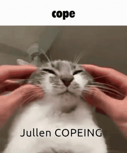Cope Jullien GIF - Cope Jullien Jullien Is Autistic GIFs
