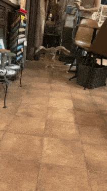 an owl is flying through a room with a woman sitting at a table looking at her phone